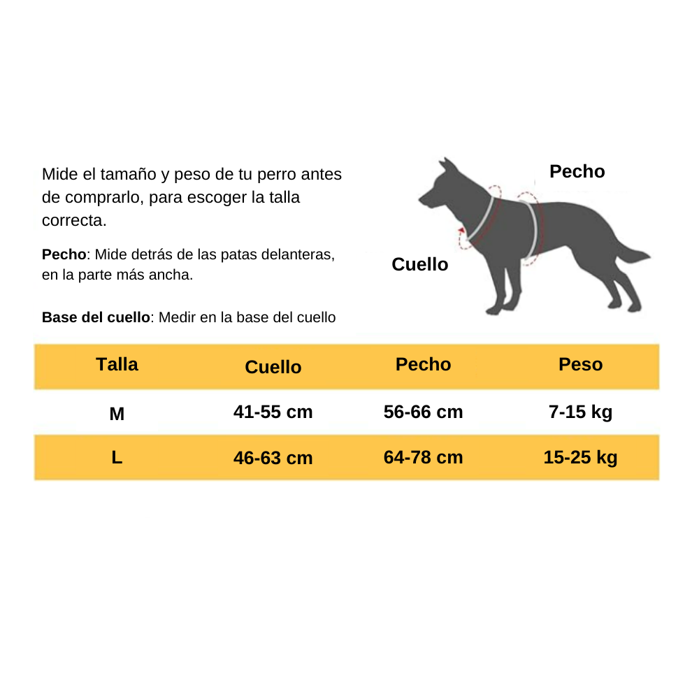 Arnés Perro Con Correa Retráctil Colores
